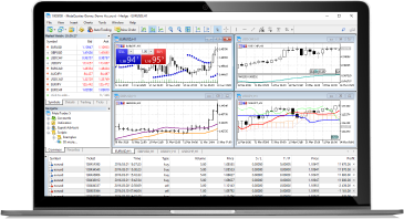 Plataformas de trading